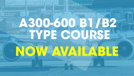 A300 - 600 type training course